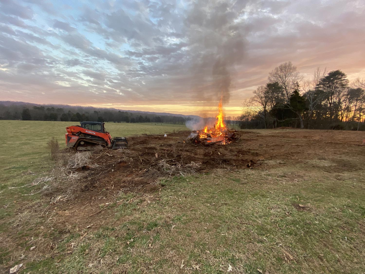 Land Clearing 1