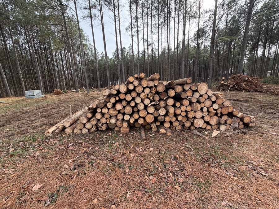 Land Clearing 2